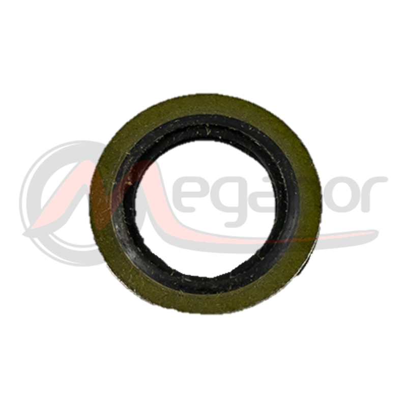 Anilha Carter 14x22 (Citroen-Ford)