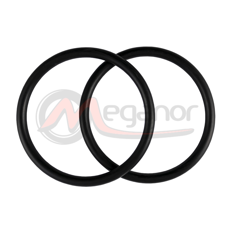 O-Rings P/Seringa 1.09.1889425