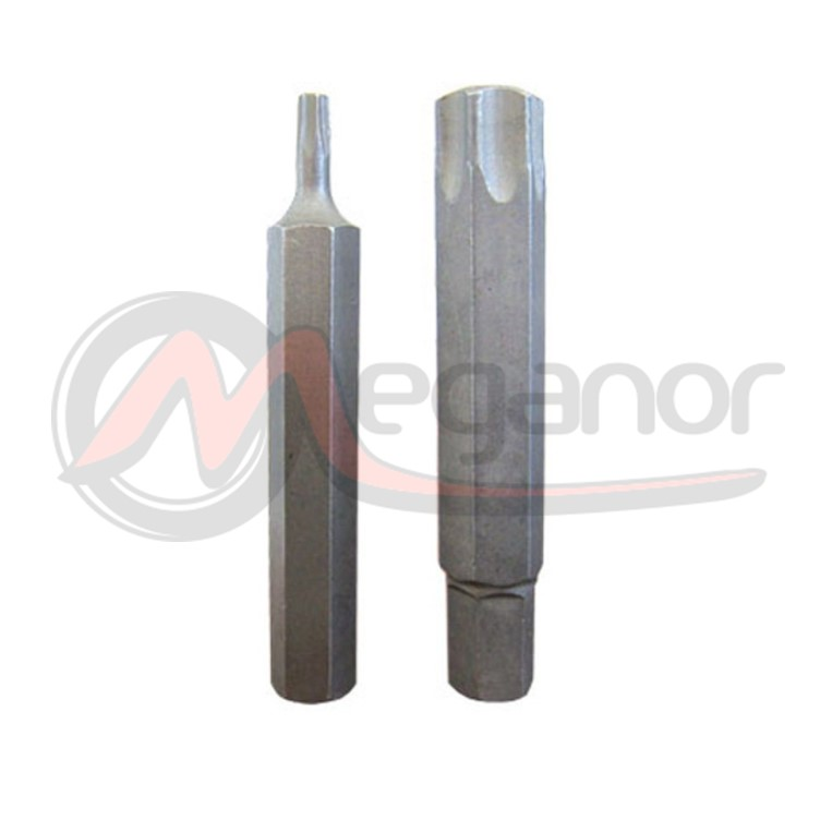 Bit Torx 10mm Longo T-25