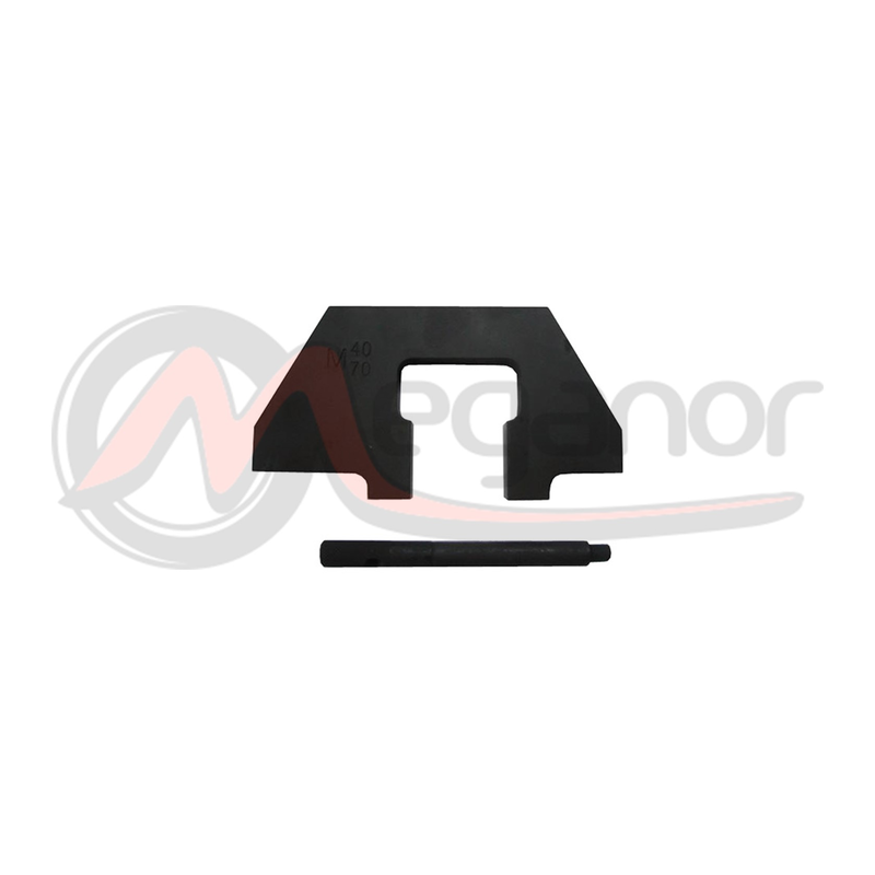 Bloqueio Gasolina BMW M40/M43/M70/M73/S70